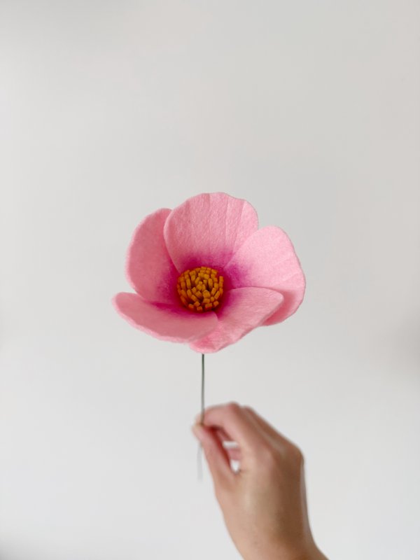 Feltbloem cosmea pink