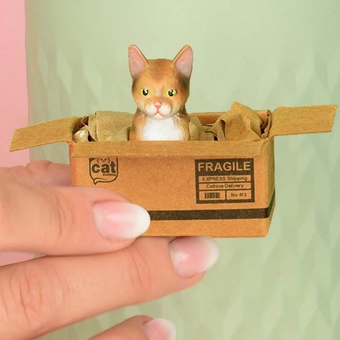 Imán de Gato Hecho a Mano "Brown Tabby" - Mini Caja con Imán de Neodimio