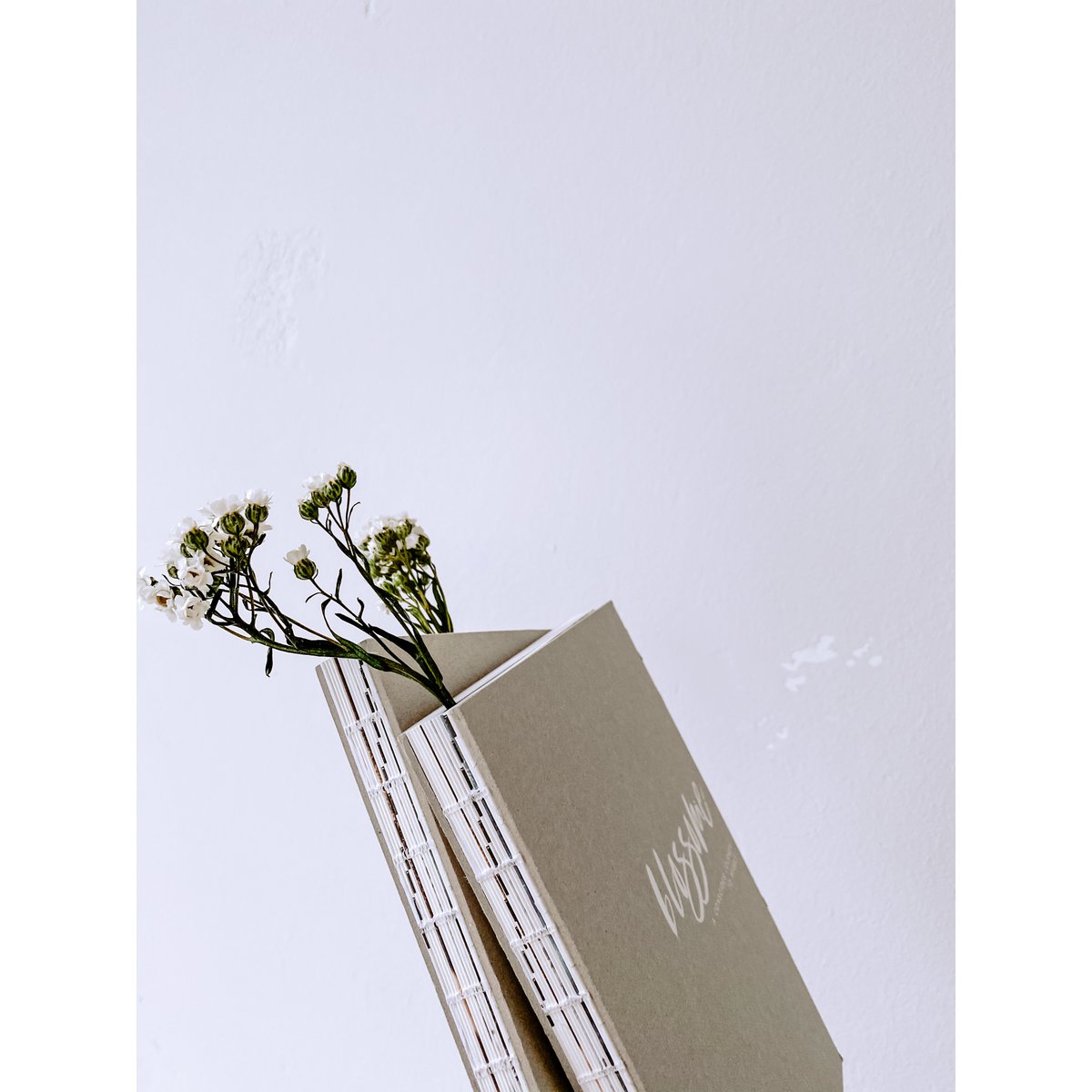 Diario Blossome - inglés