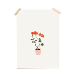 A vibrant, potted geranium plant with bright red flowers and green leaves, displayed in a simple, minimalist style.