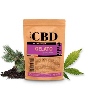 CBD Gelato XL Blumen