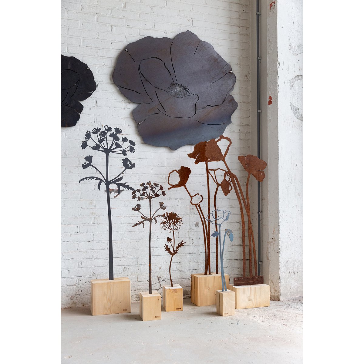 Wall Flower M