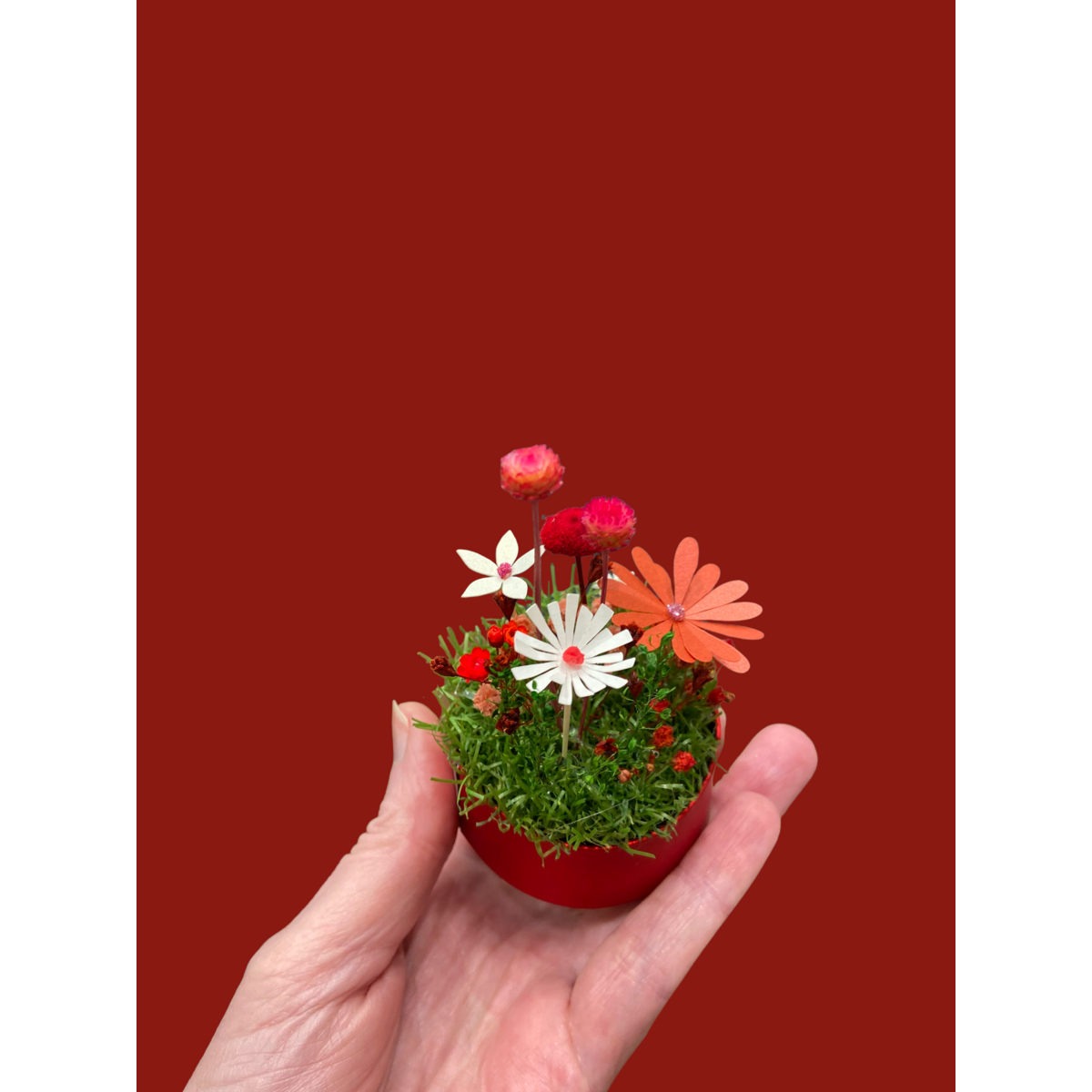 Mini jardín
