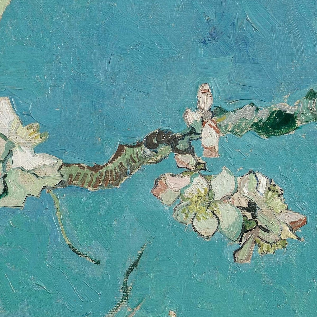 Turquoise amandel bloesem dier kussensom