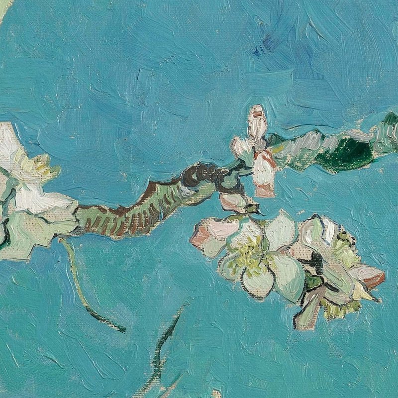 Turquoise migdałowa pokrywka poduszki