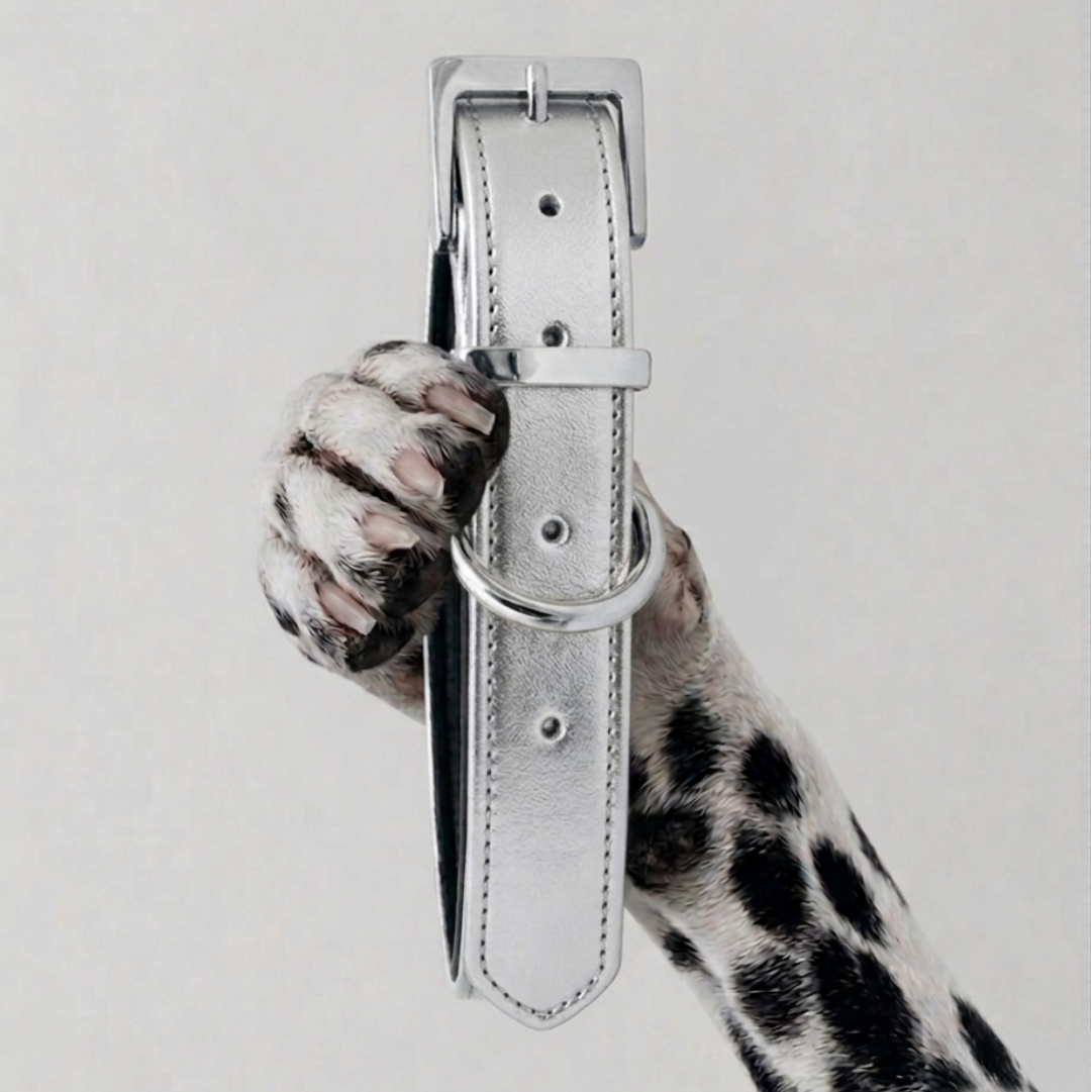 COLLAR IGLESIA. Plata – Collar de perro de cuero vegano