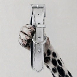 CHURCHILL NECKLACE. Silver – Vegan leather dog collar