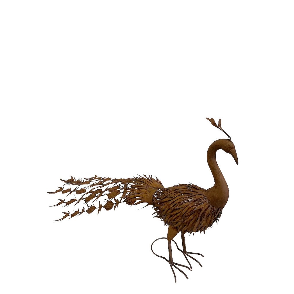 IJzeren pauw, 130x64x65cm
