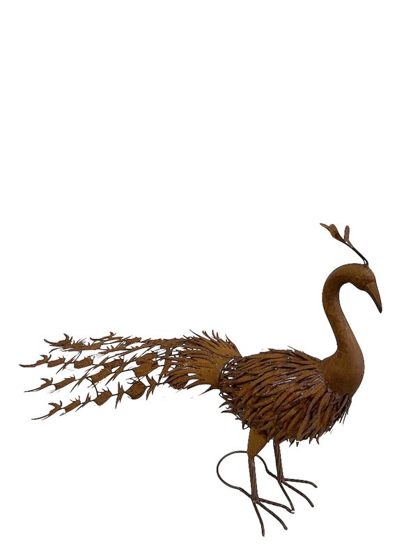 Eiserner Pfau, 130x64x65cm