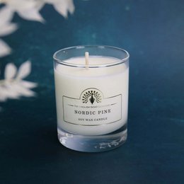 Candela SAPONE INGLESE C° 170g - Pino Nordico