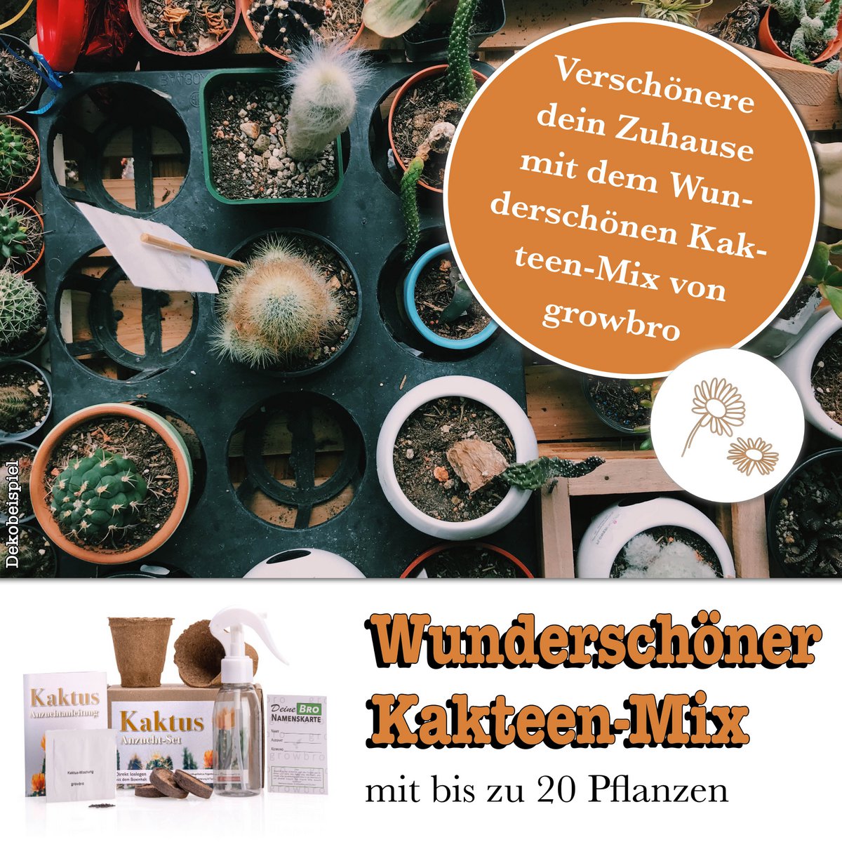 growbro| Set per la coltivazione di cactus con flacone spray | IL REGALO DI CACTUS per donne e uomini %23 regalo di semi %23 regalo di semi per gli ospiti %23 cactus