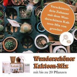 growbro| Set per la coltivazione di cactus con flacone spray | IL REGALO DI CACTUS per donne e uomini %23 regalo di semi %23 regalo di semi per gli ospiti %23 cactus