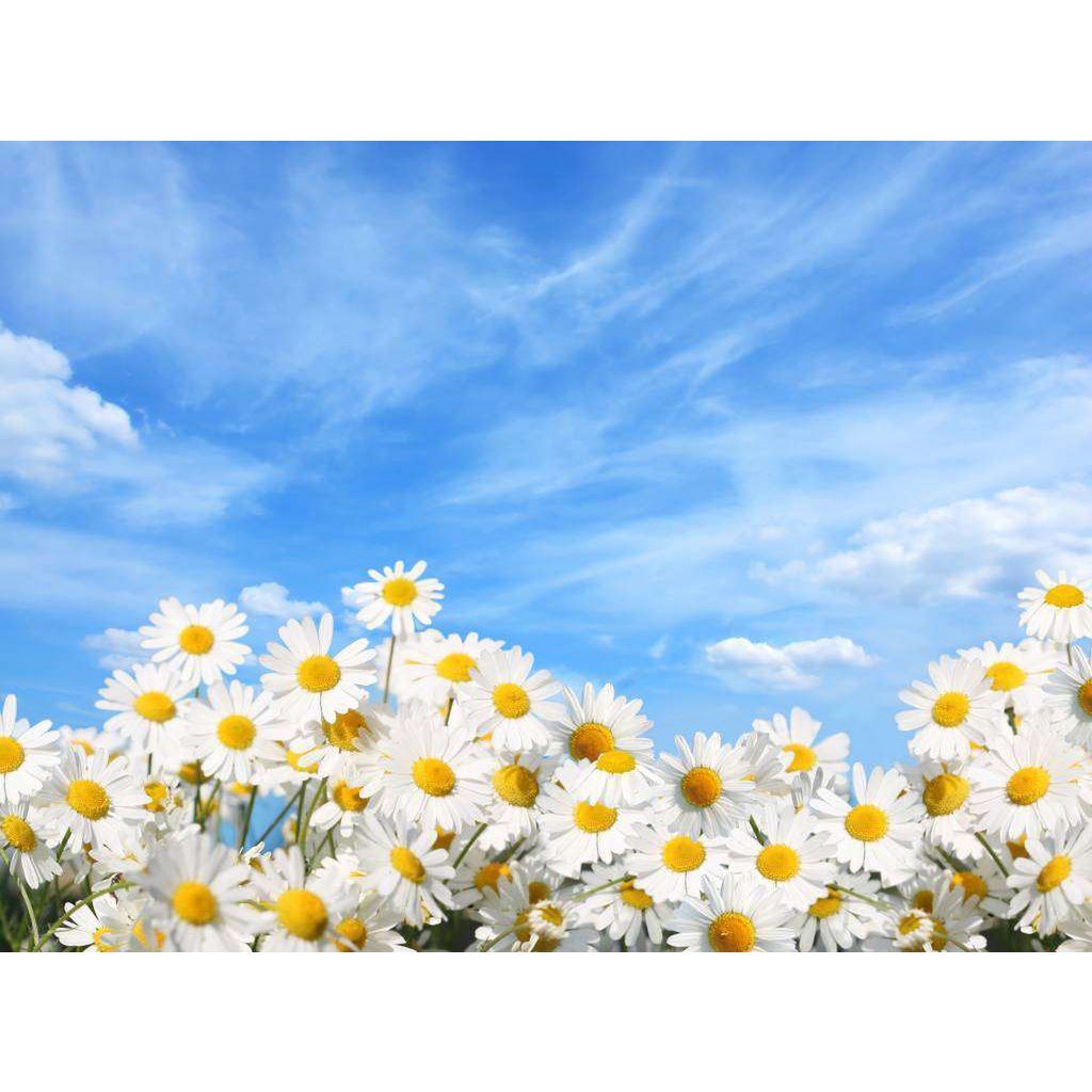 Spring Breeze - Odor Cloud® Blend - 100% Huile essentielle - 5 ml - Prix de détail suggéré 9,95 €