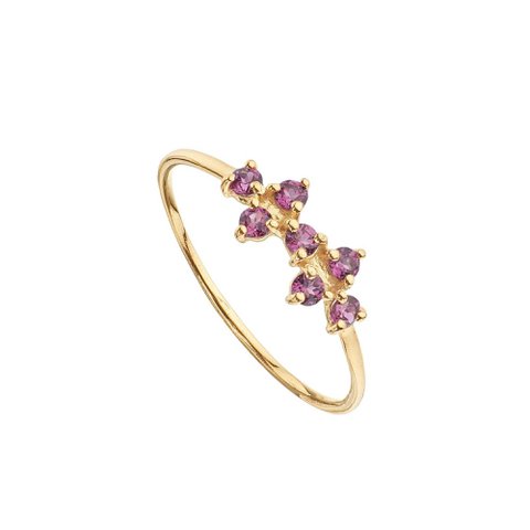 Vergoldeter Granat-Rhodolit-Ring