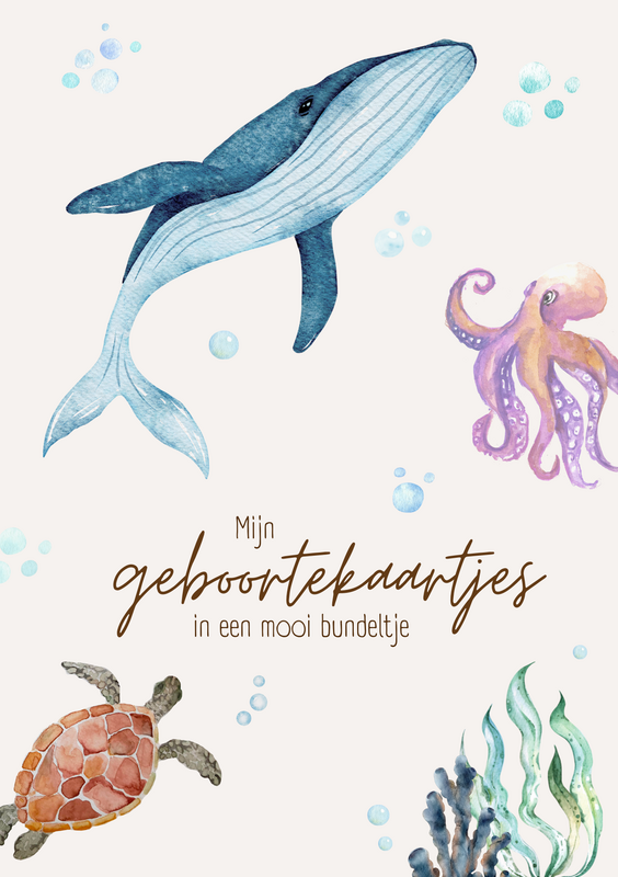Birth card storage bundle A5 - Ocean