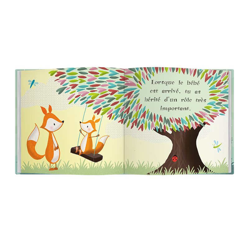 C'est Toi L'Exemple - Gift for the big brother or the big sister at the birth of a baby