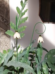 Fleur de perce-neige à suspendre en céramique 3,5 cm