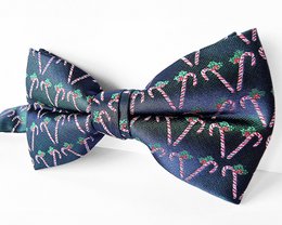 Papillon: blu scuro con bastoncini di zucchero