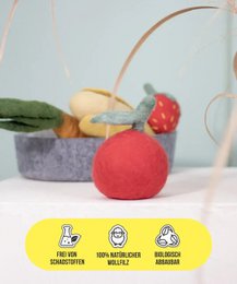 Buddy. Dog toys from Wollfilz "Apfel"