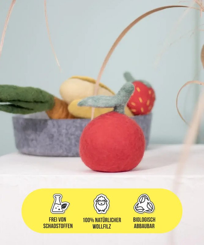 Buddy. Dog toys from Wollfilz "Apfel"