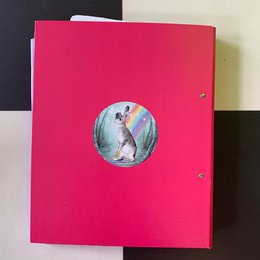 Aufkleber Set Kaninchen