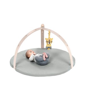 FRANCK & FISCHER BabySpyder Babygym wit Copy