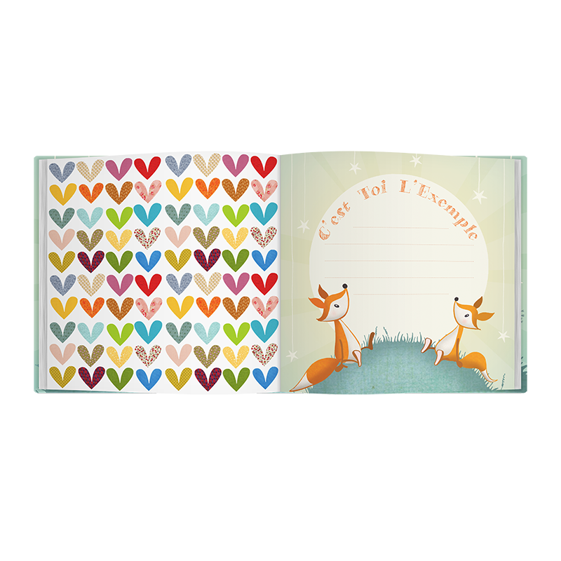 C'est Toi L'Exemple - Gift for the big brother or the big sister at the birth of a baby