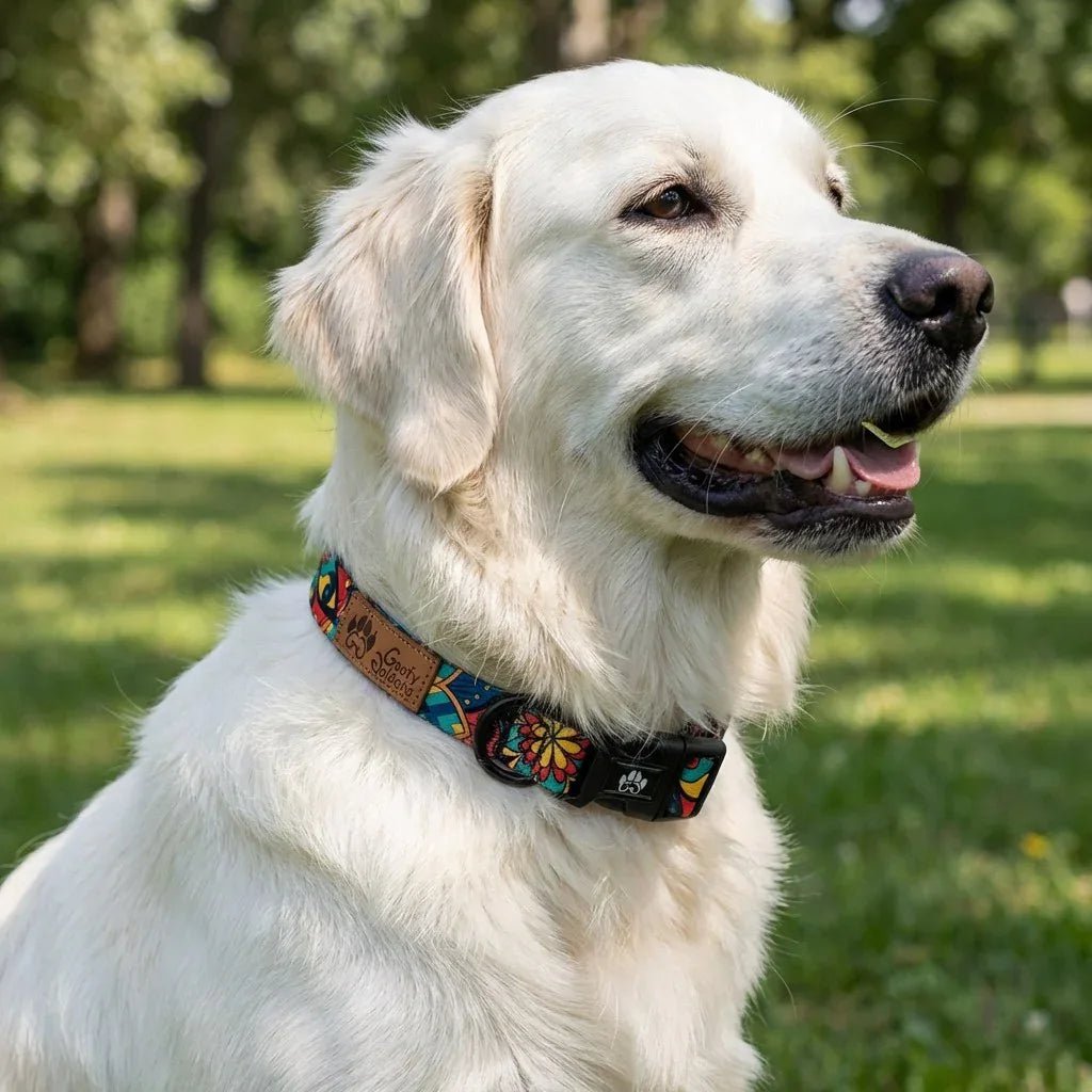 Naszyjnik dla psa Mandala