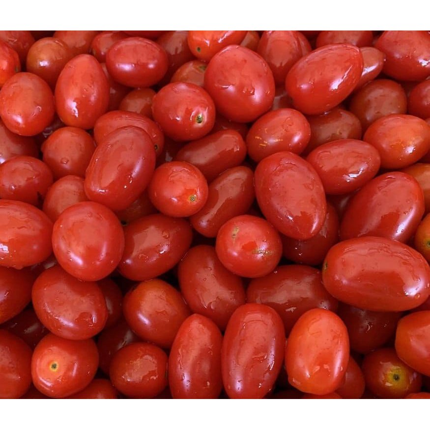 Biologische natuurlijke Datterino-tomaten