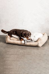 Dream-Duo Oatfield (beige / naturlig)