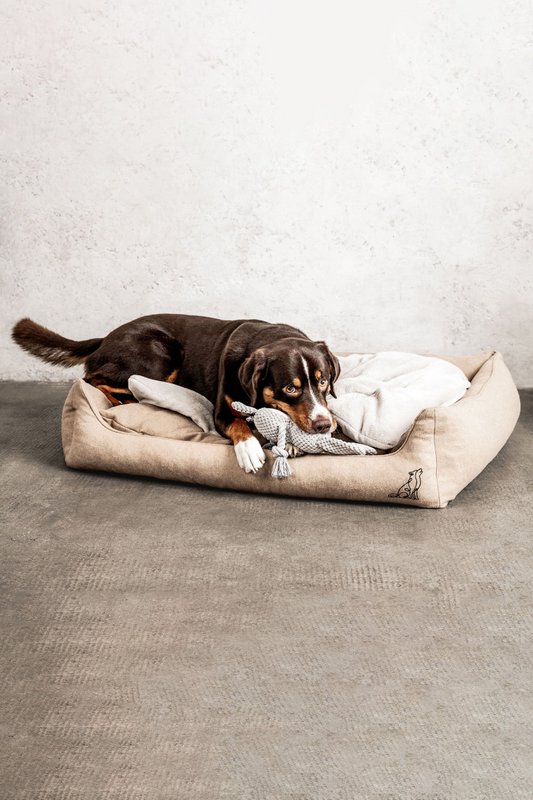 Dream-Duo Oatfield (beige / naturlig)