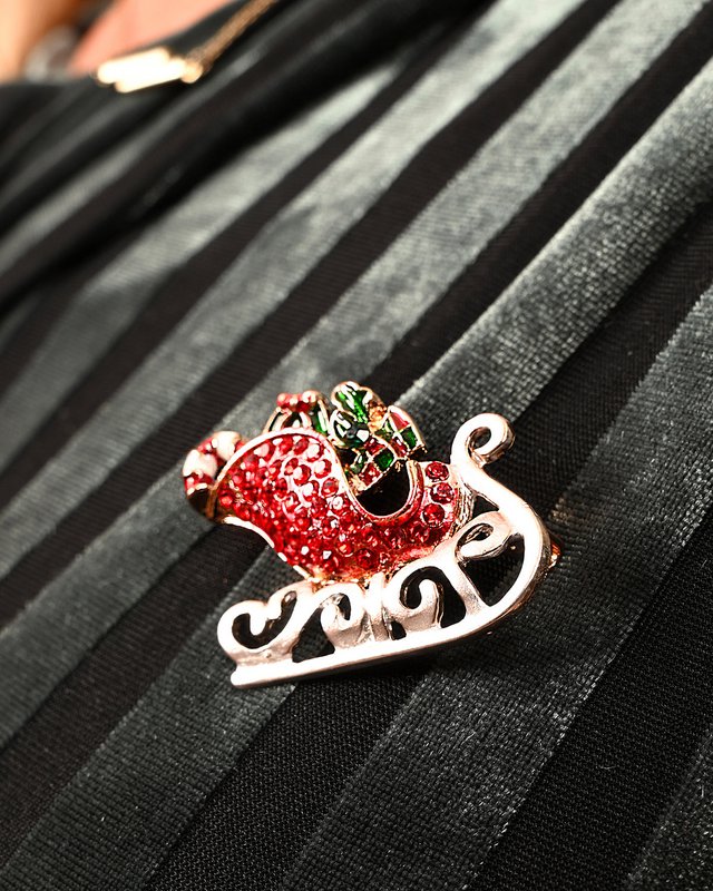 Brooch - Sleigh