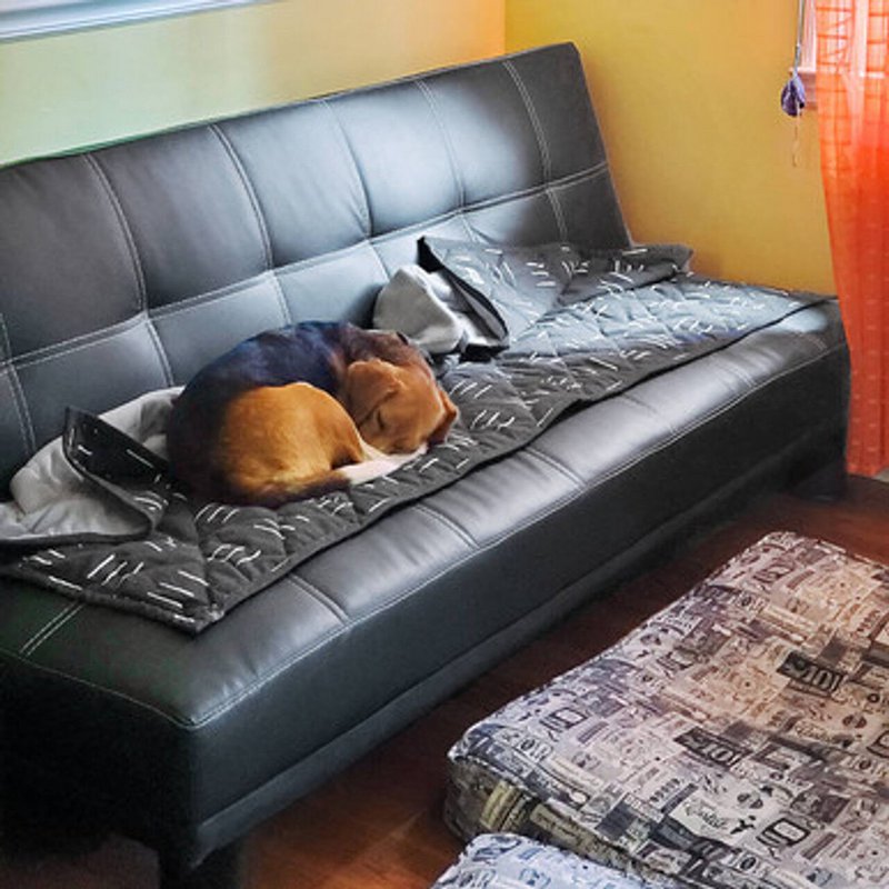 Coperta ecologica per animali domestici Molly Mutt - Dreams (segni di cancelletto bianco su nero) | Lavabile, retro in pile, trapuntato, 100% cotone non tossico, 2 misure