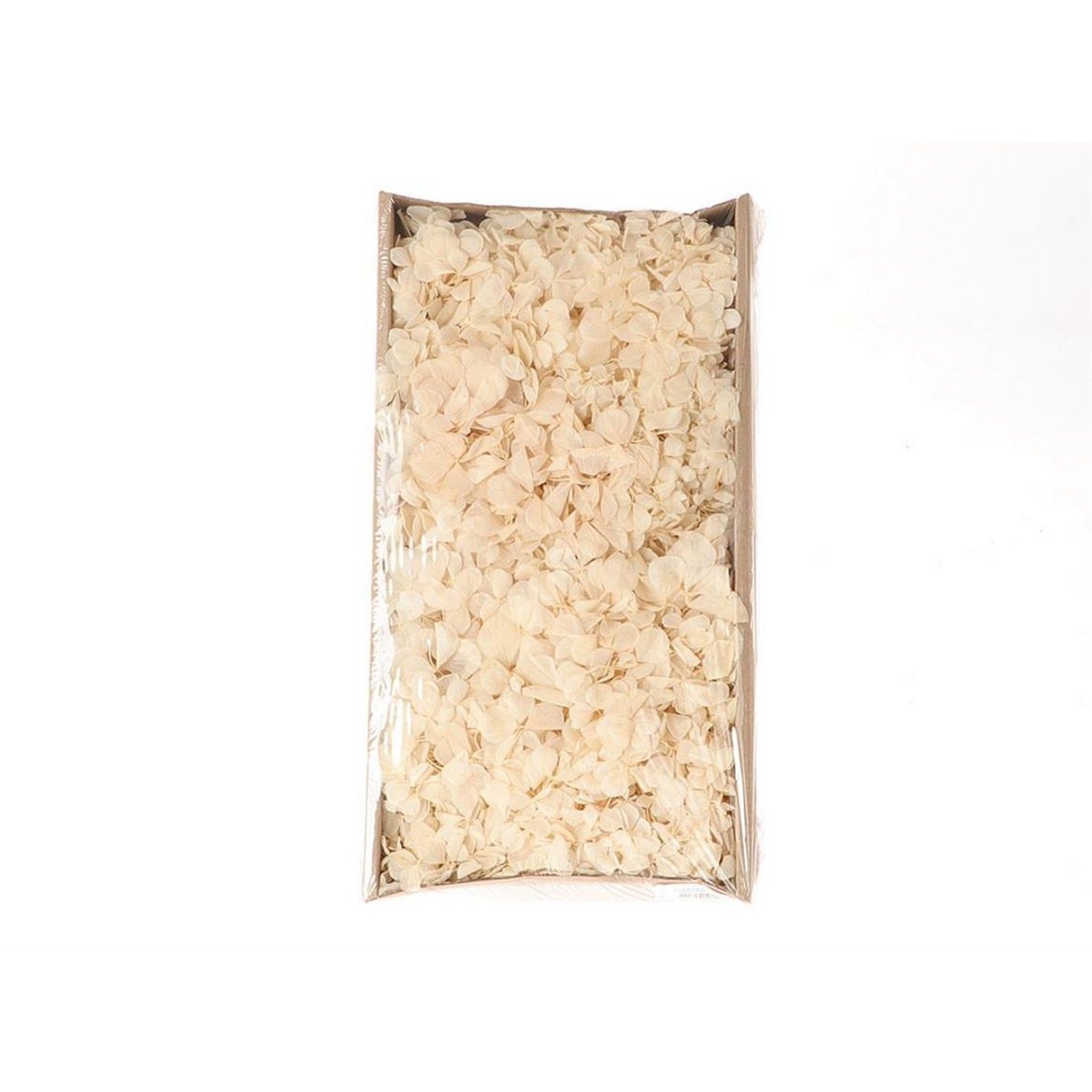 Hydrangea dried/preserved, Hydrangea loose small branches, box with approx. 50g, cream/white