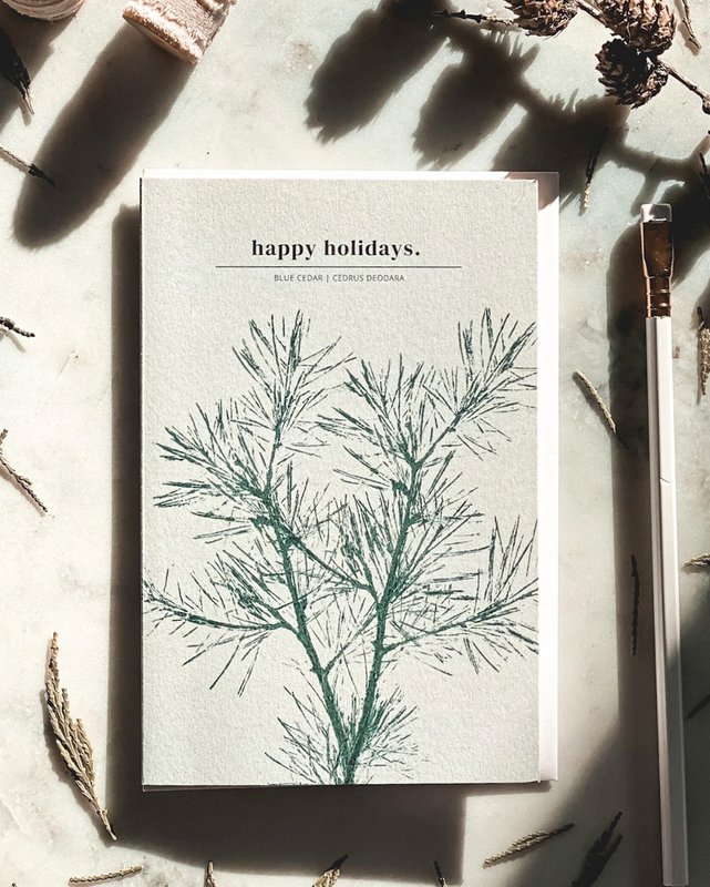 Happy Holidays II - Cartes botaniques de Noël / hiver - Cartes inspirées de la nature