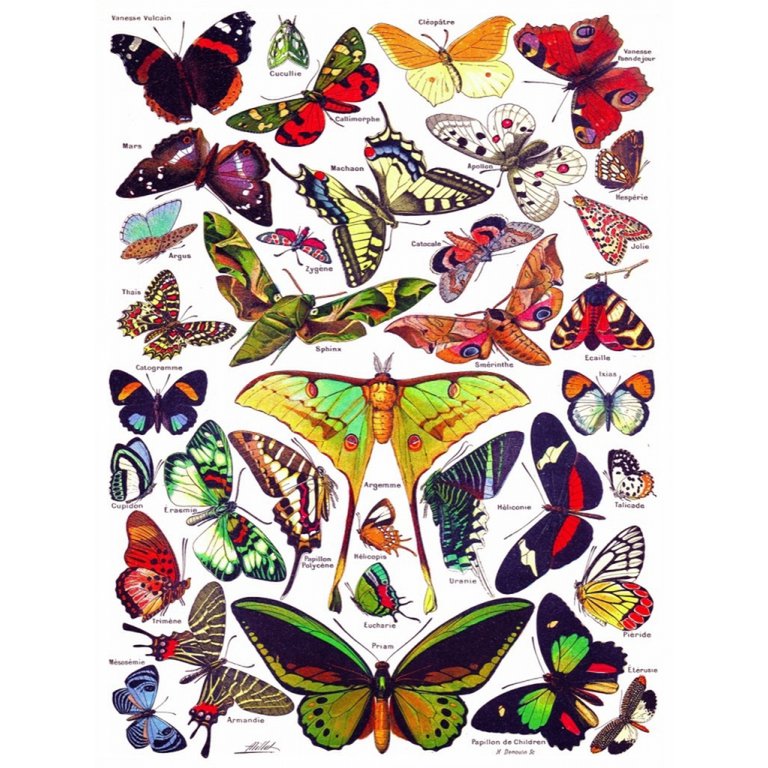 New York Puzzle Company Puzzle Butterflies~Papillons - 1000 pieces