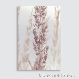 Haveplakat Pampas