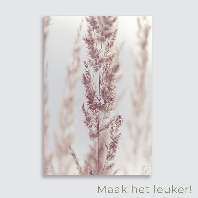 Haveplakat Pampas
