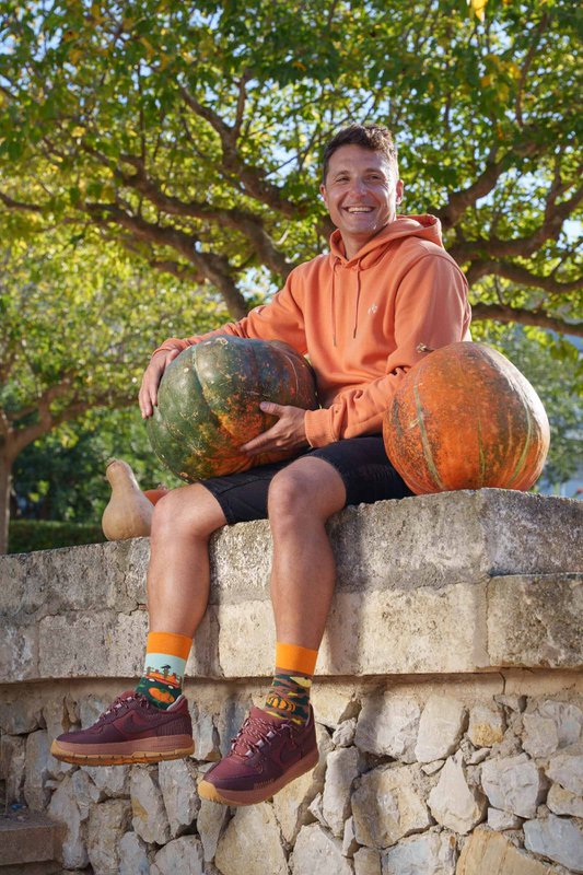 Calabazas calcetines | Calcetines de otoño con espantapájaros - calcetines casuales que no coinciden
