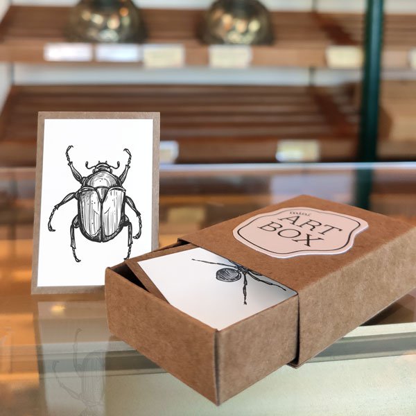 DIY Mini Art - Insekten (4 Stück)
