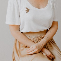 Glitter pins - Swallow
