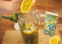 Simply Hemp BIO, Pure hemp tea