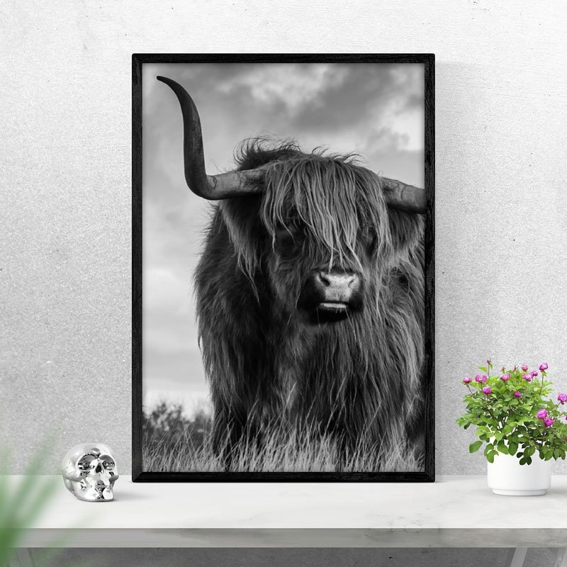 Highlander poster