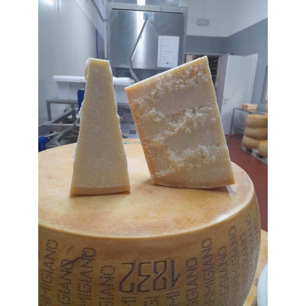 Parmigiano Reggiano DOP - 24 meses de crianza precio/ud