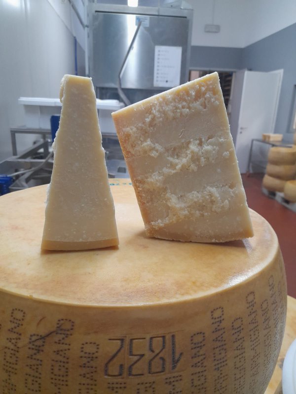 Parmigiano Reggiano DOP - 24 meses de crianza precio/ud