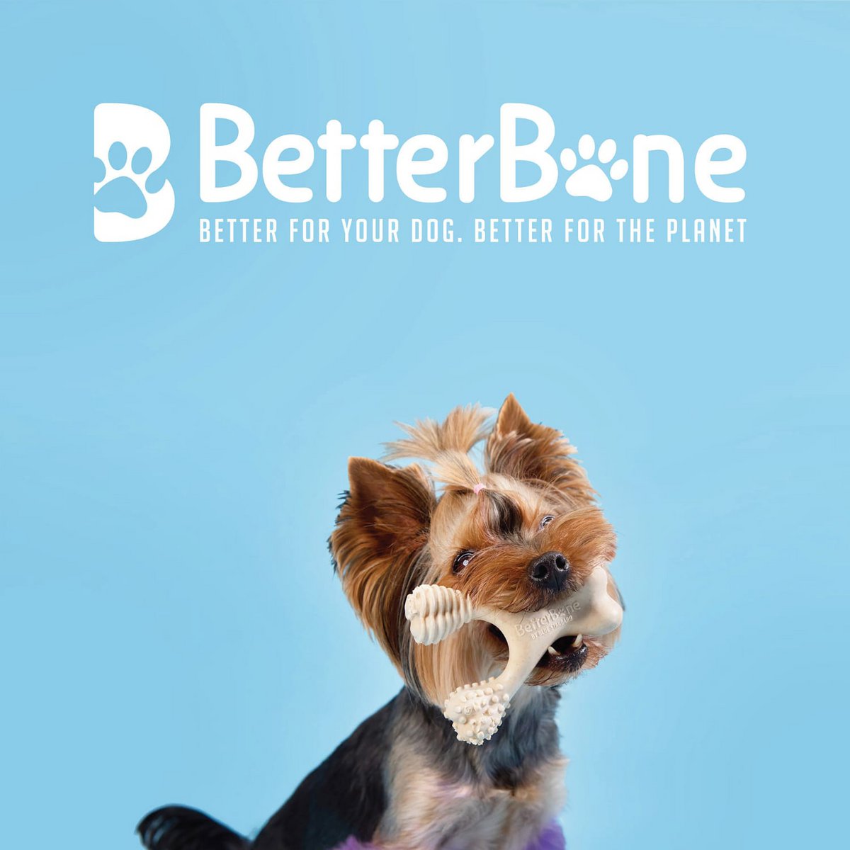 Betterbone Dogs Chewing Bones - Mini Soft Classic (zonder nylon, CO2 neutraal gemaakt in Europa)