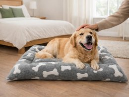 Yommy hondenbed in 3 maten (M,LXL) – grijze sterren en botten design huisdierbed | Zacht, antislip, duurzaam en wasbaar hondenbed voor binnenshuis voor comfortabele rust