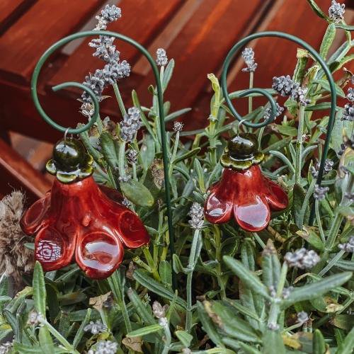Campanula + bastone