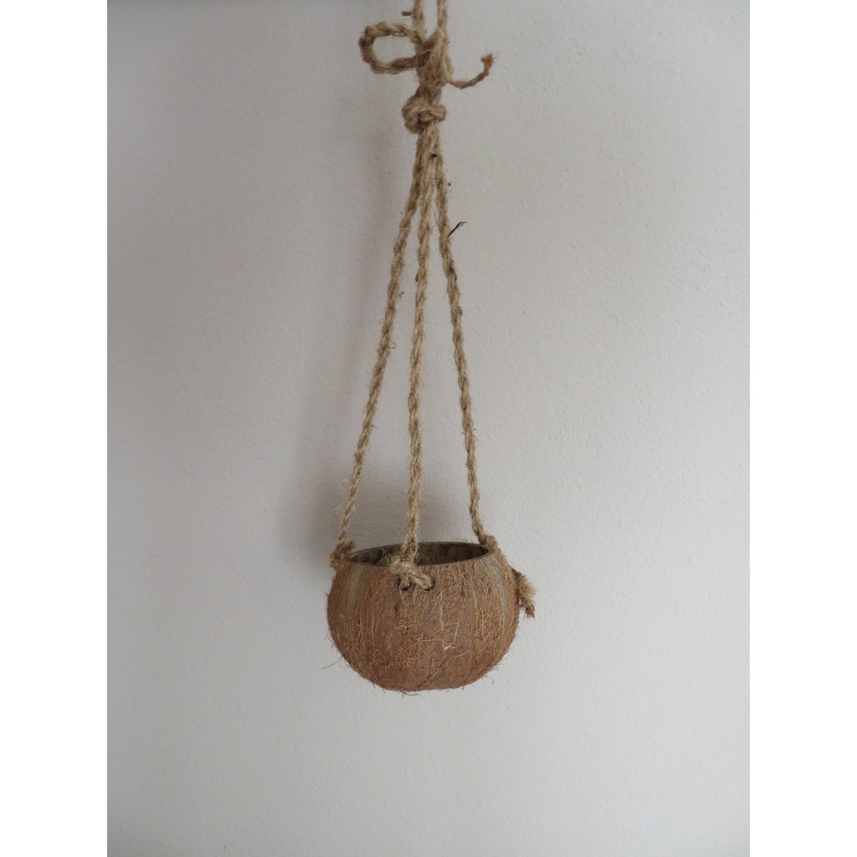 Coconut pendant - Coco Hanging