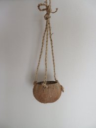 Coconut pendant - Coco Hanging